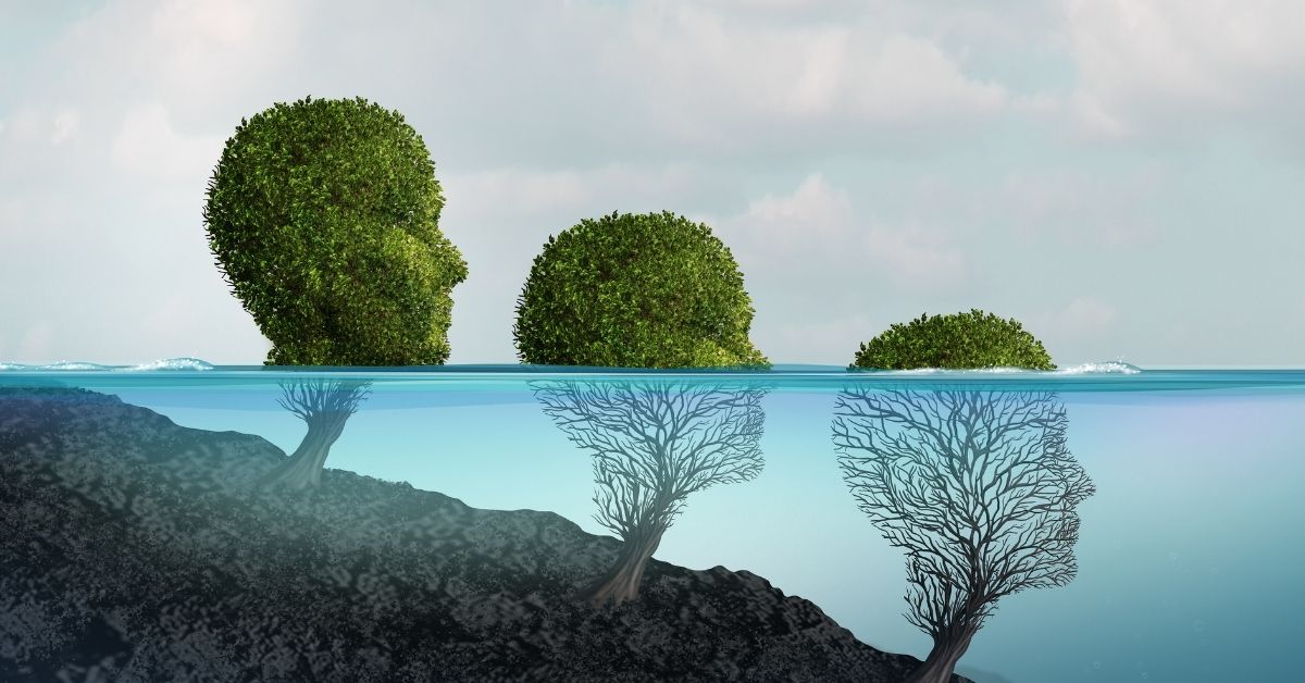 Higher mental programs